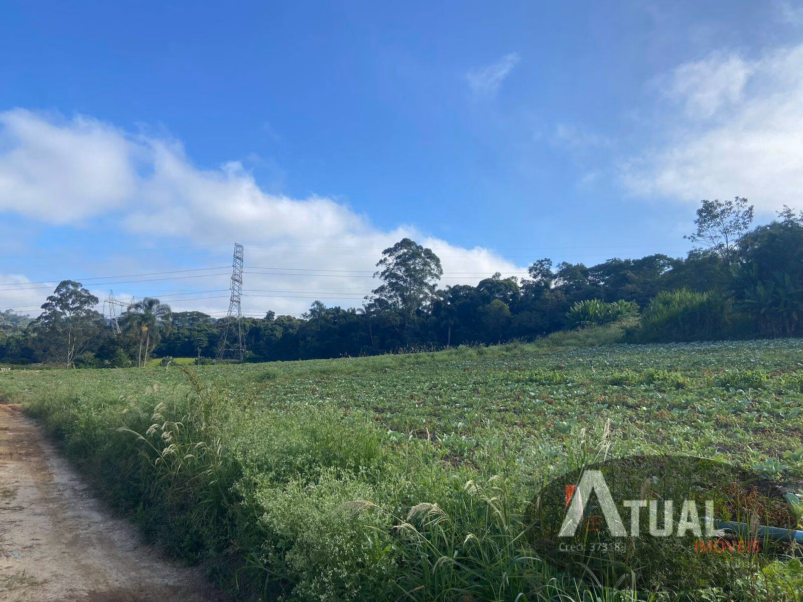 Terreno de 19 ha em Suzano, SP