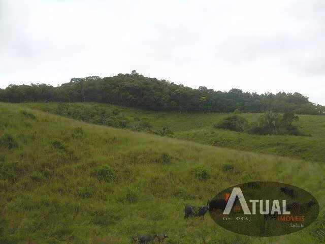 Terreno de 19 ha em Suzano, SP