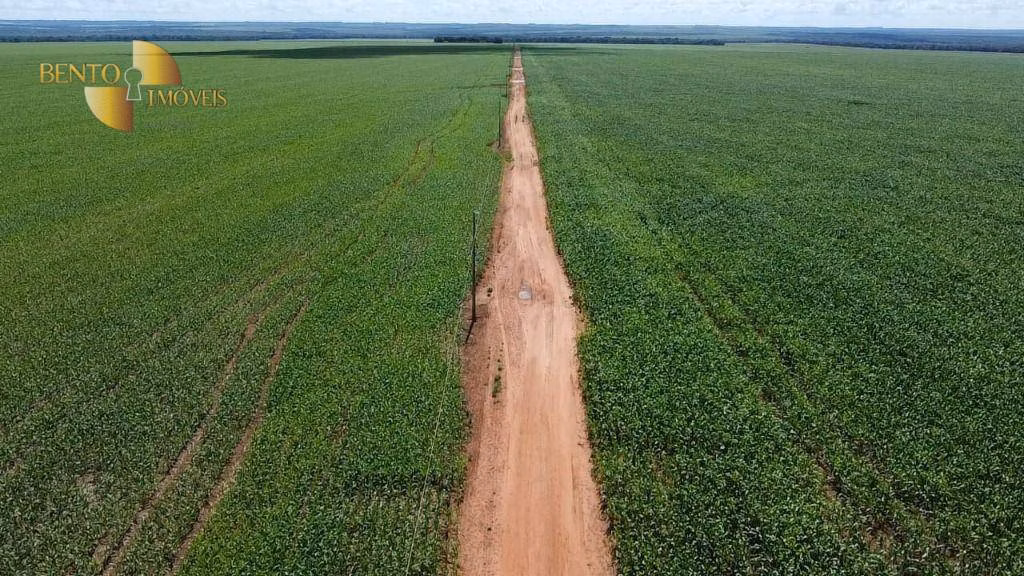Farm of 8,280 acres in Santa Rita do Trivelato, MT, Brazil