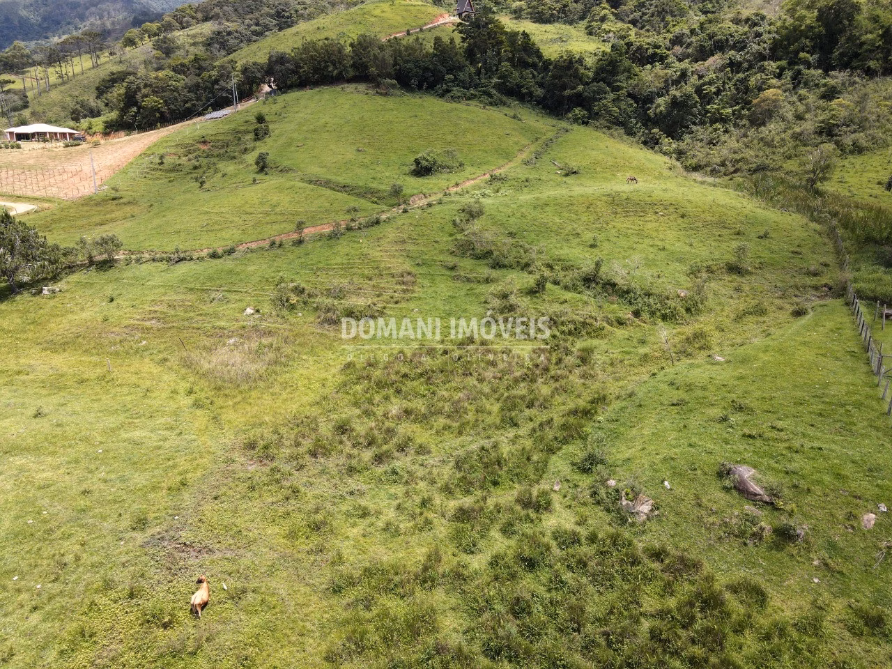 Terreno de 3 ha em Santo Antônio do Pinhal, SP