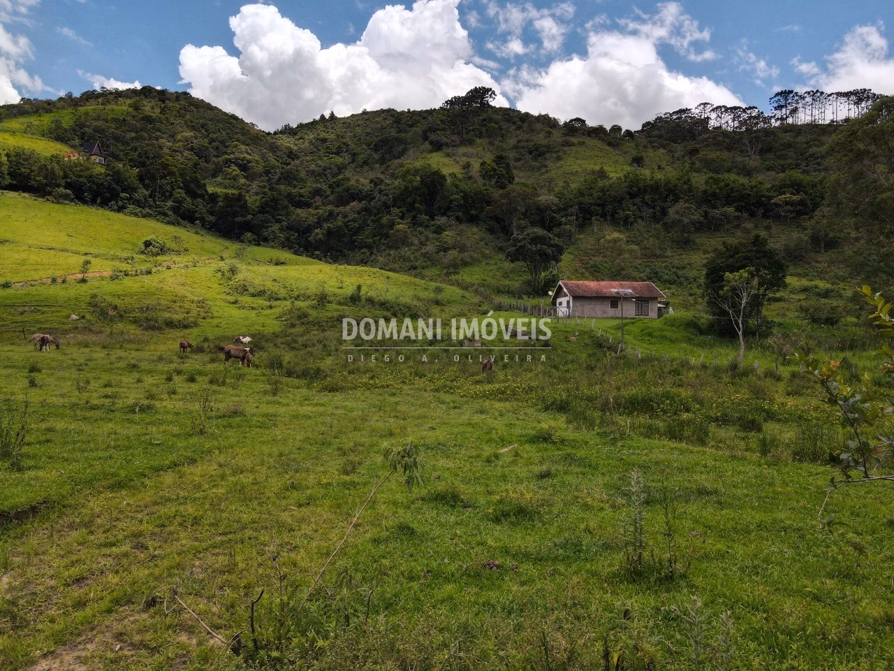 Terreno de 3 ha em Santo Antônio do Pinhal, SP