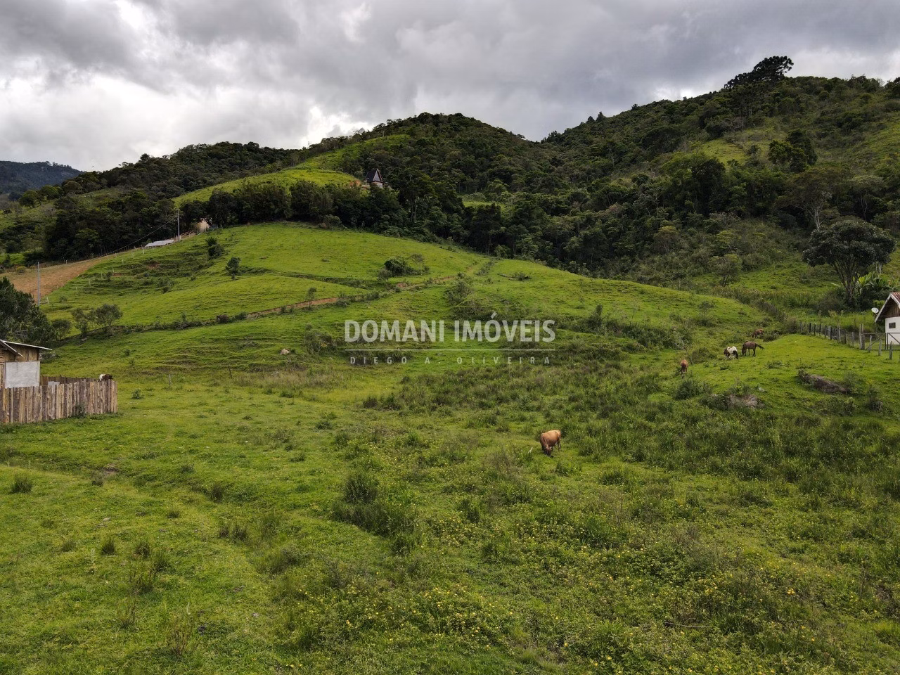 Terreno de 3 ha em Santo Antônio do Pinhal, SP