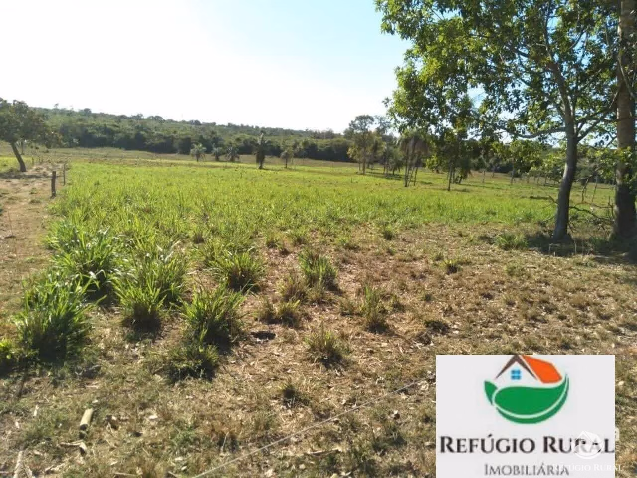 Fazenda de 1.790 ha em Juarina, TO