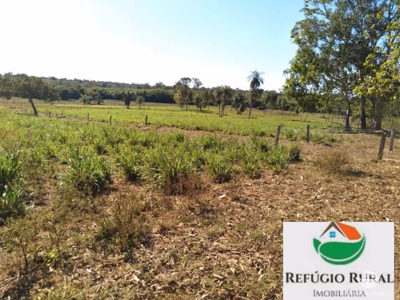 Fazenda de 1.790 ha em Juarina, TO