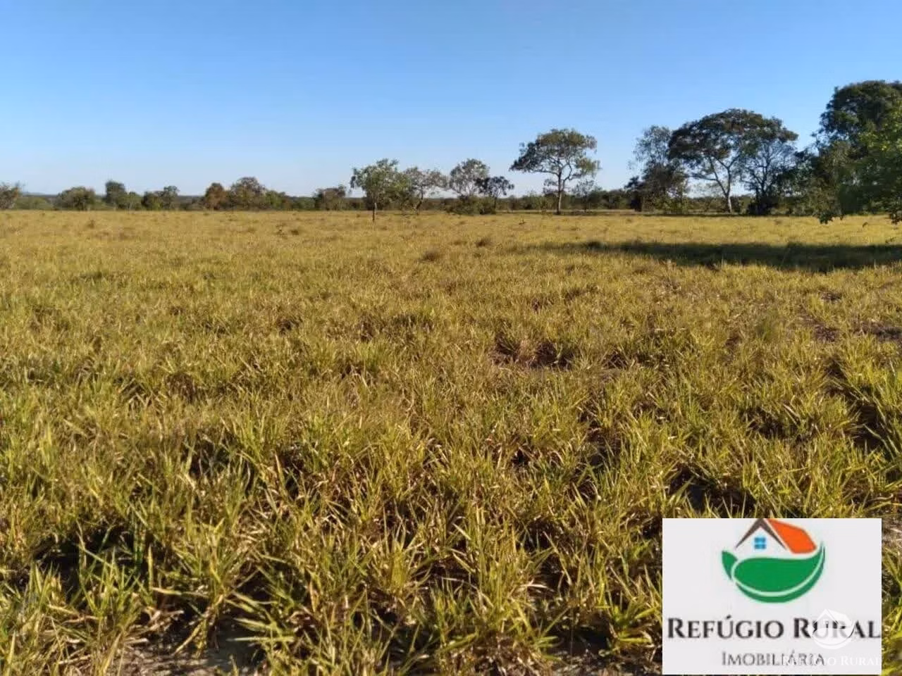 Farm of 4.423 acres in Juarina, TO, Brazil