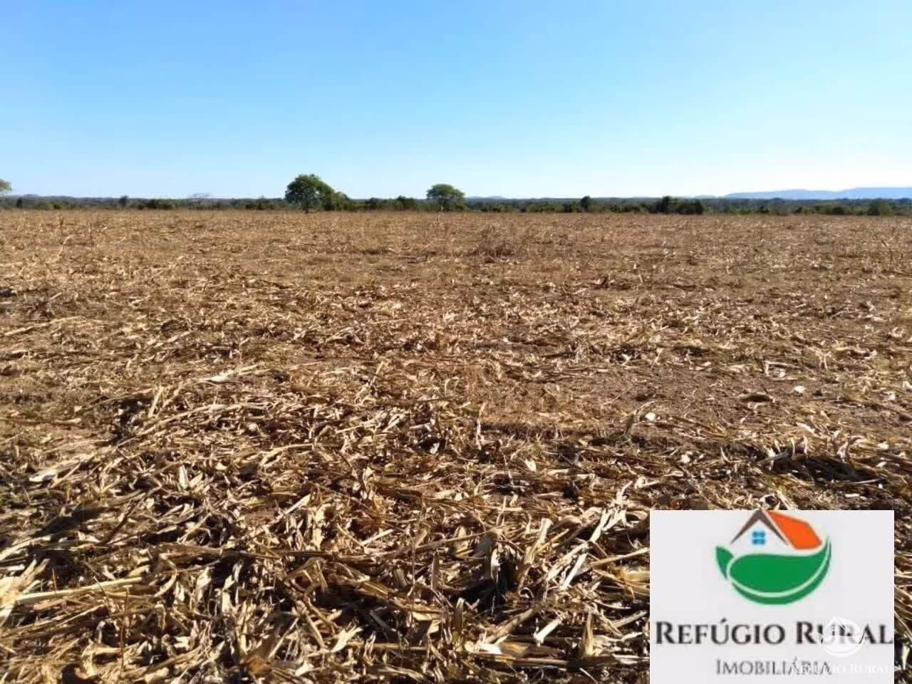 Fazenda de 1.790 ha em Juarina, TO