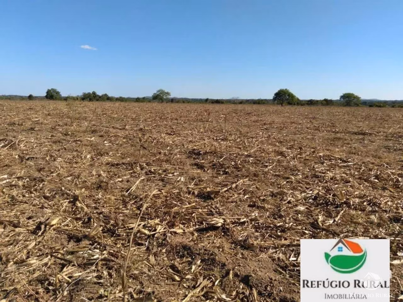 Farm of 4.423 acres in Juarina, TO, Brazil