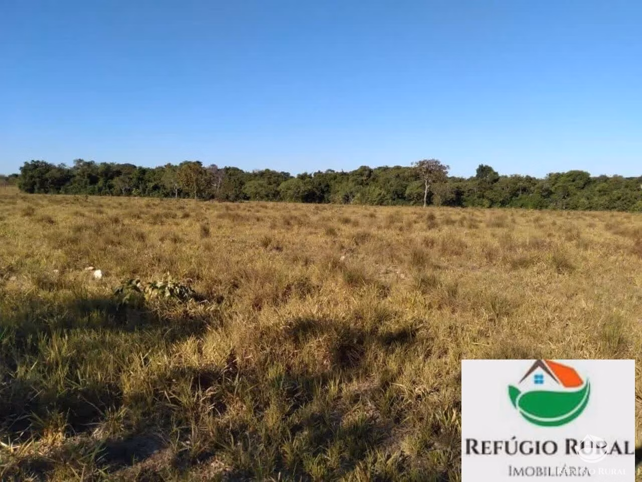 Farm of 4.423 acres in Juarina, TO, Brazil