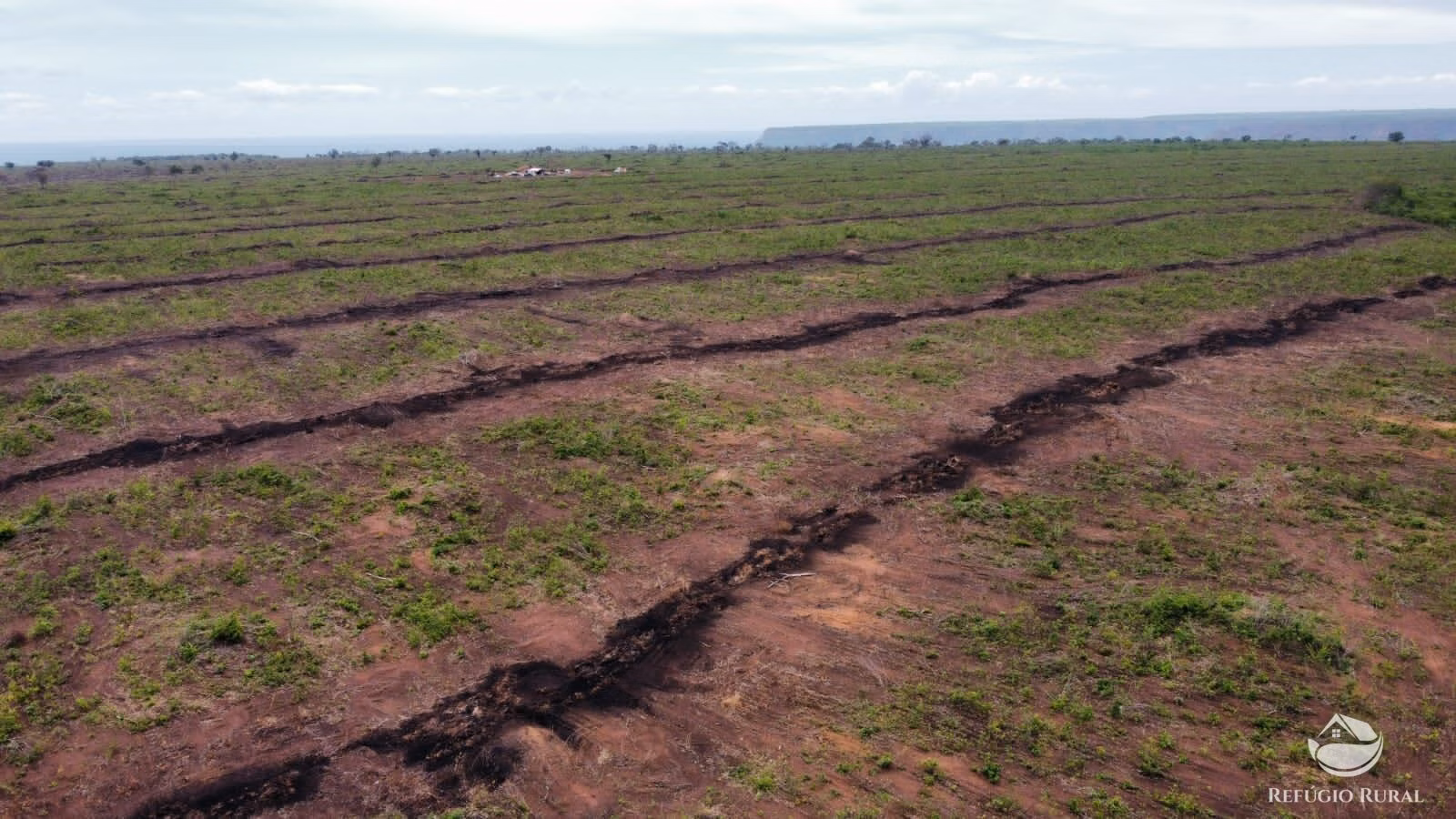 Fazenda de 1.800 ha em Palmeira do Piauí, PI