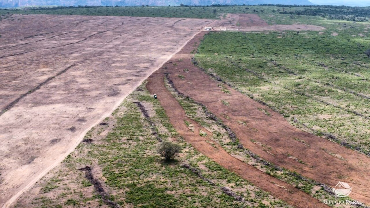 Fazenda de 1.800 ha em Palmeira do Piauí, PI