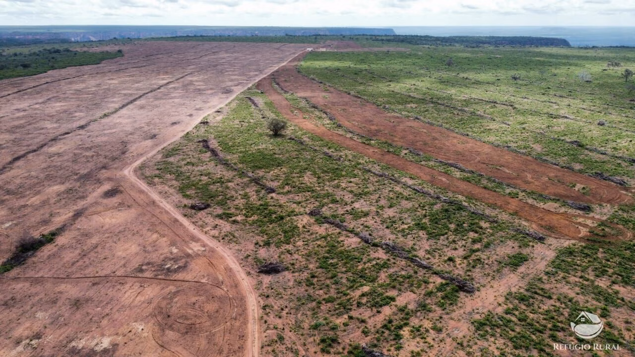 Fazenda de 1.800 ha em Palmeira do Piauí, PI