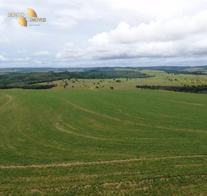 Fazenda de 3.600 ha em Mineiros, GO