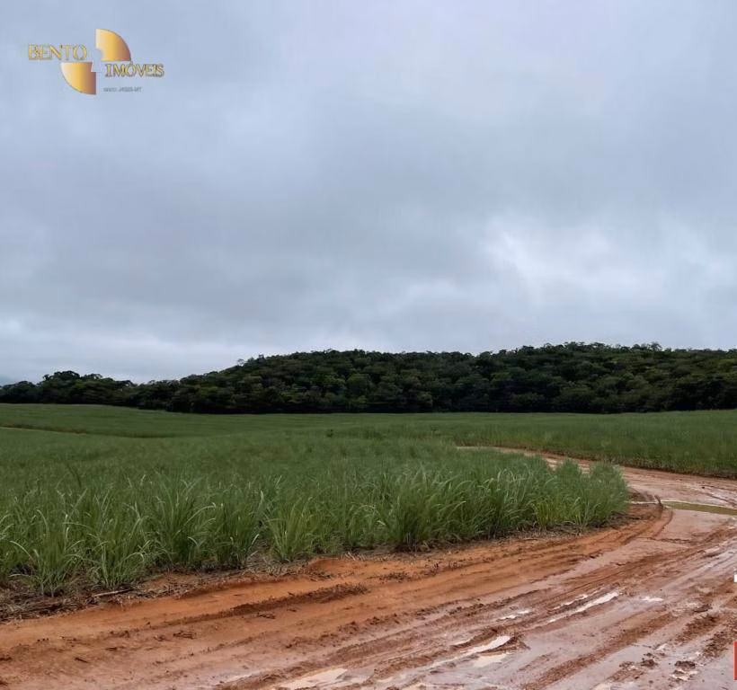 Fazenda de 3.600 ha em Mineiros, GO