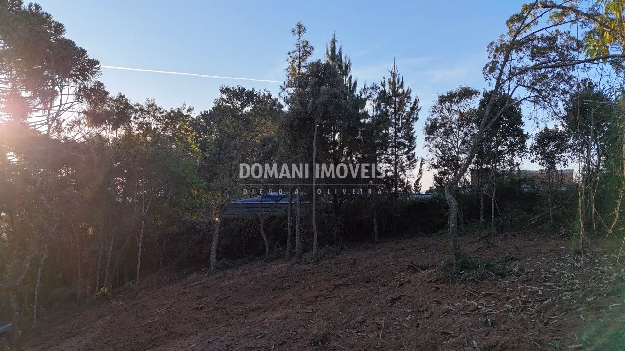 Terreno de 2,280 m² em Campos do Jordão, SP
