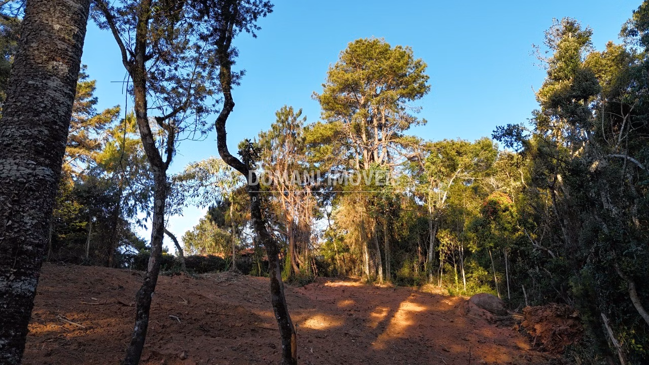 Terreno de 2,280 m² em Campos do Jordão, SP