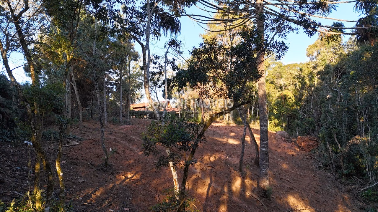 Terreno de 2.280 m² em Campos do Jordão, SP