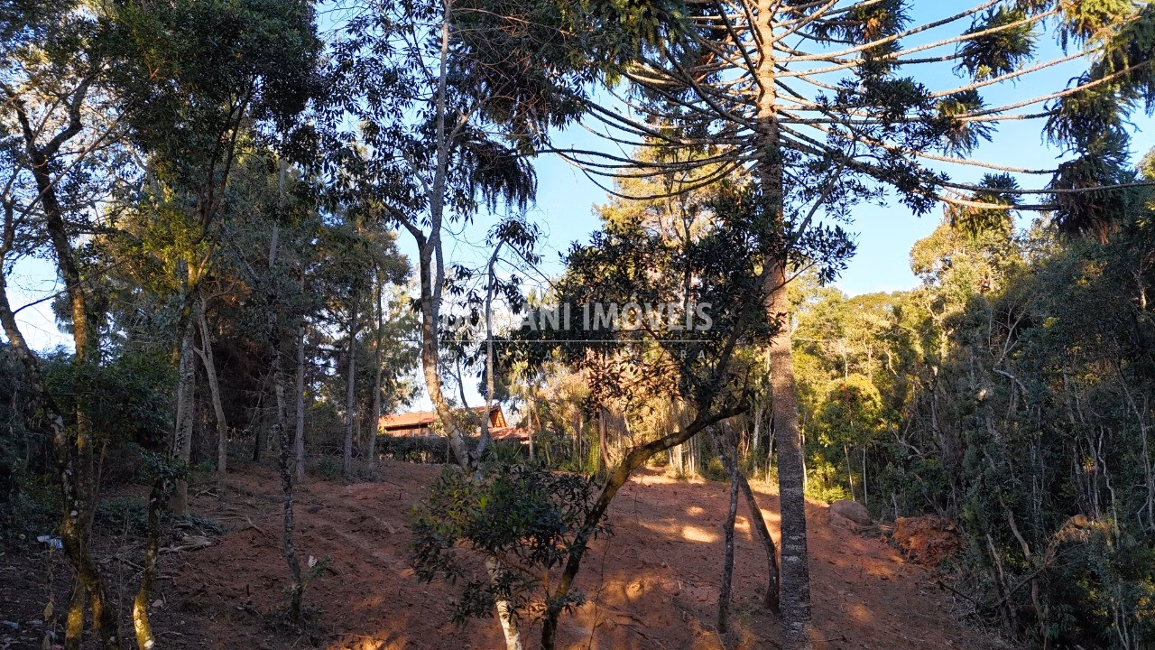 Terreno de 2,280 m² em Campos do Jordão, SP
