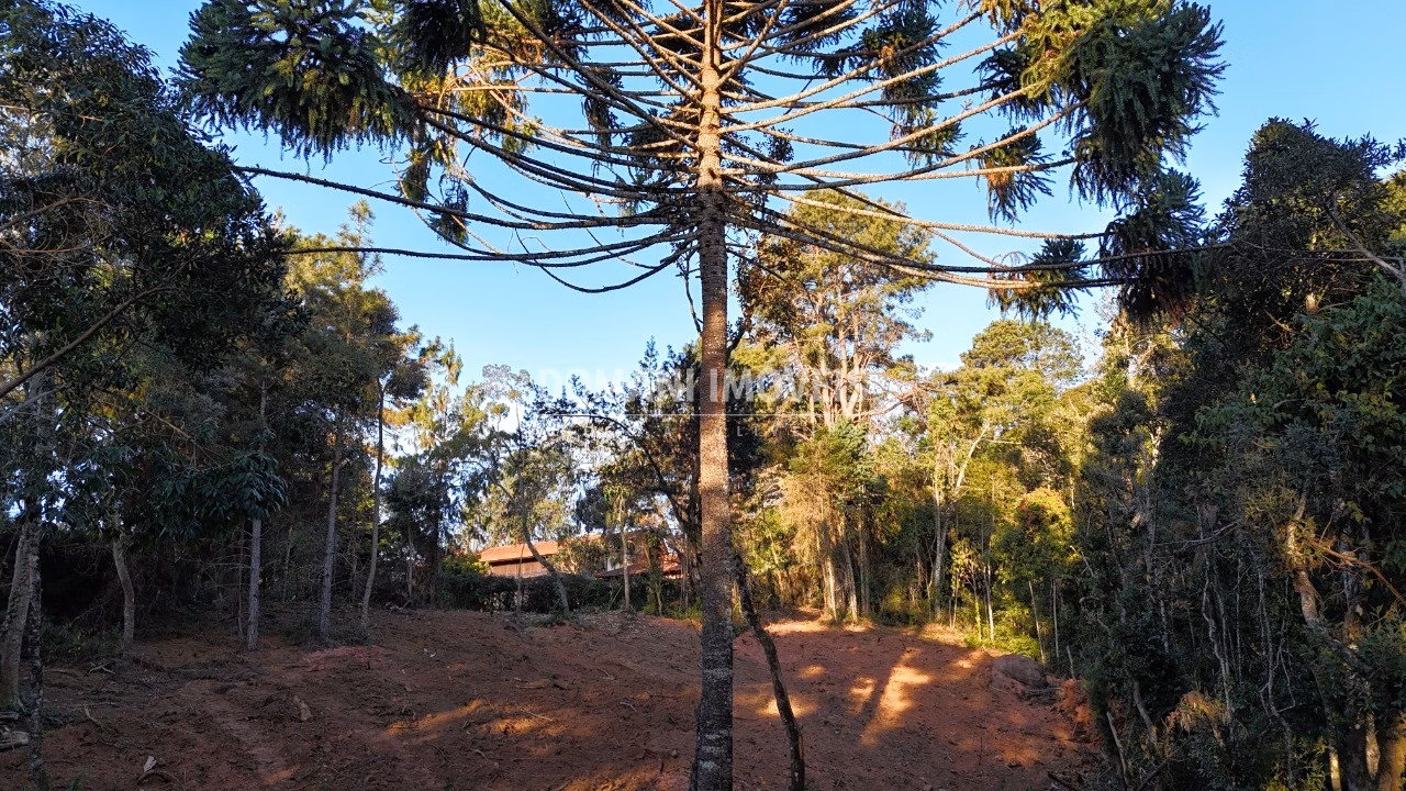 Terreno de 2.280 m² em Campos do Jordão, SP