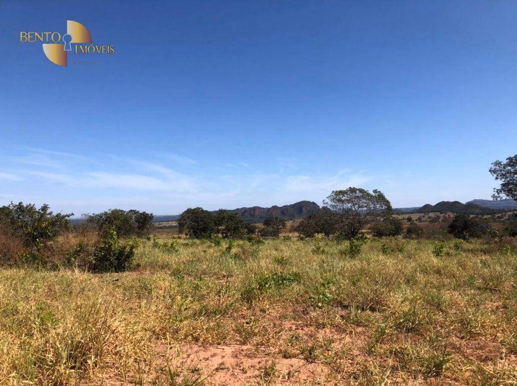 Fazenda de 900 ha em Primavera do Leste, MT