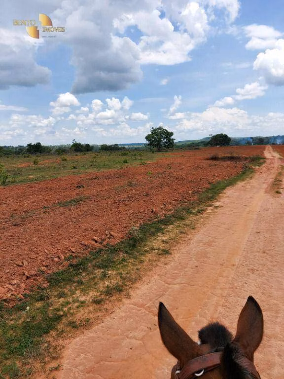 Fazenda de 900 ha em Primavera do Leste, MT
