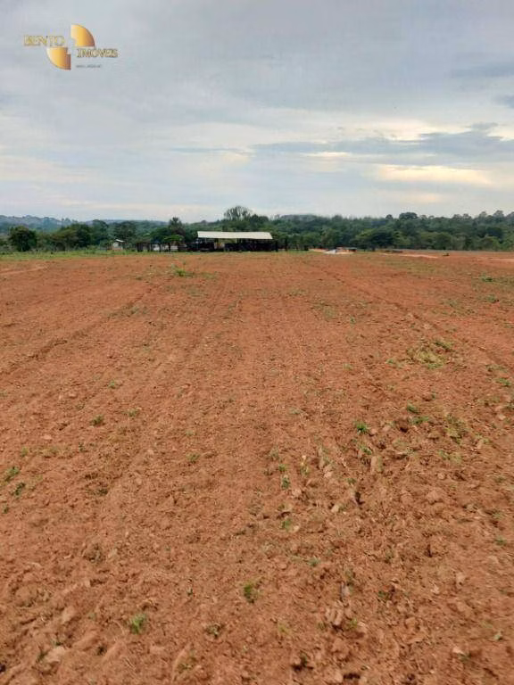 Fazenda de 900 ha em Primavera do Leste, MT