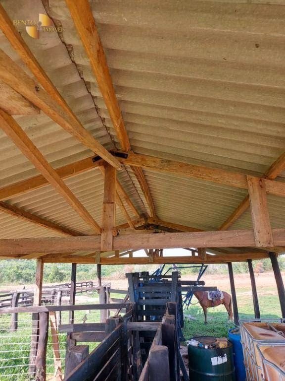 Fazenda de 900 ha em Primavera do Leste, MT
