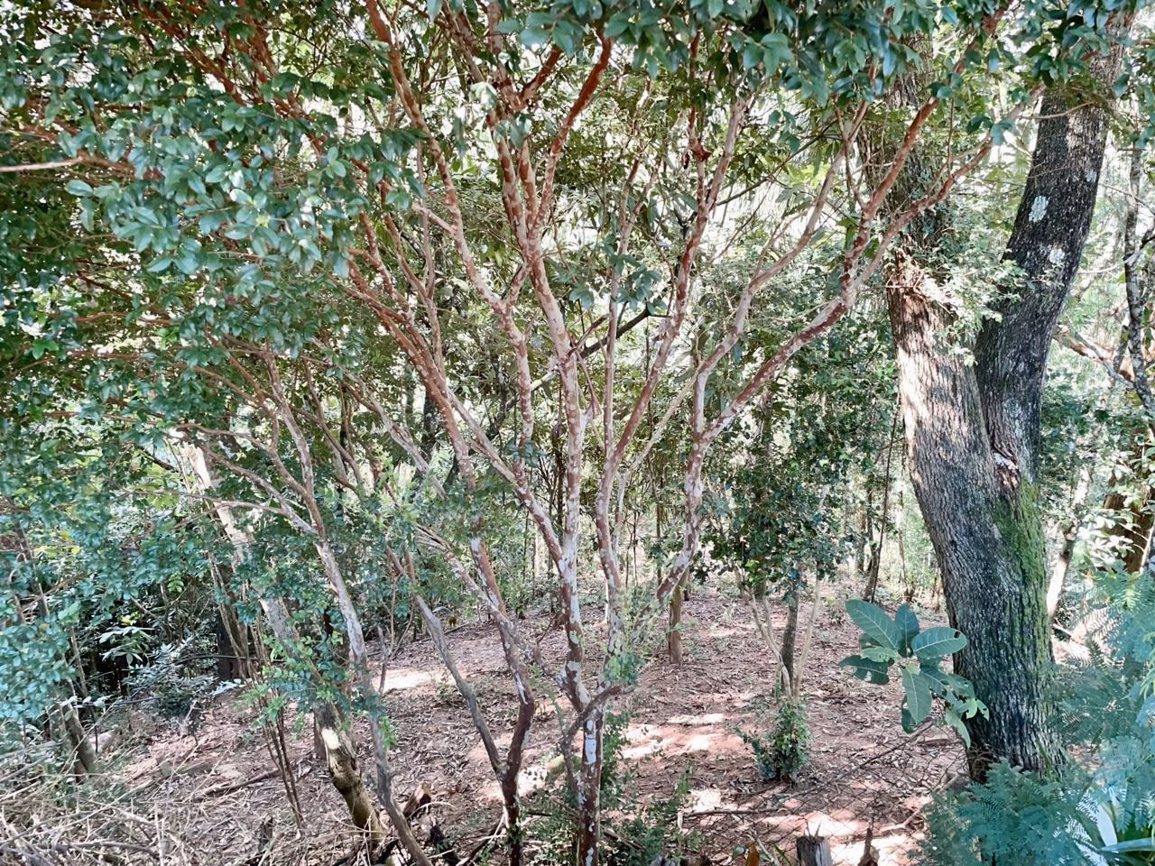 Country home of 3,250 m² in São José dos Campos, SP, Brazil
