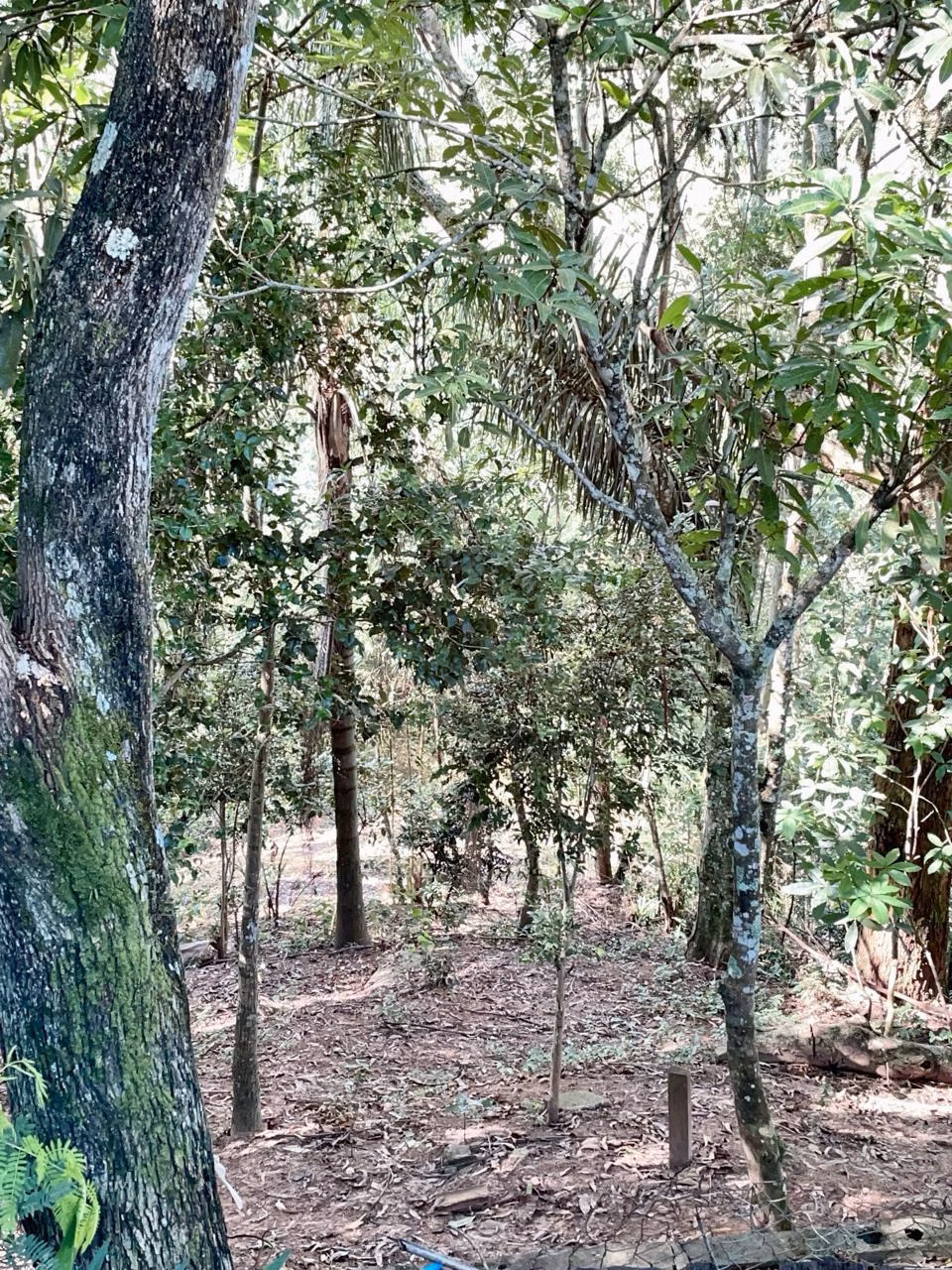 Country home of 3,250 m² in São José dos Campos, SP, Brazil