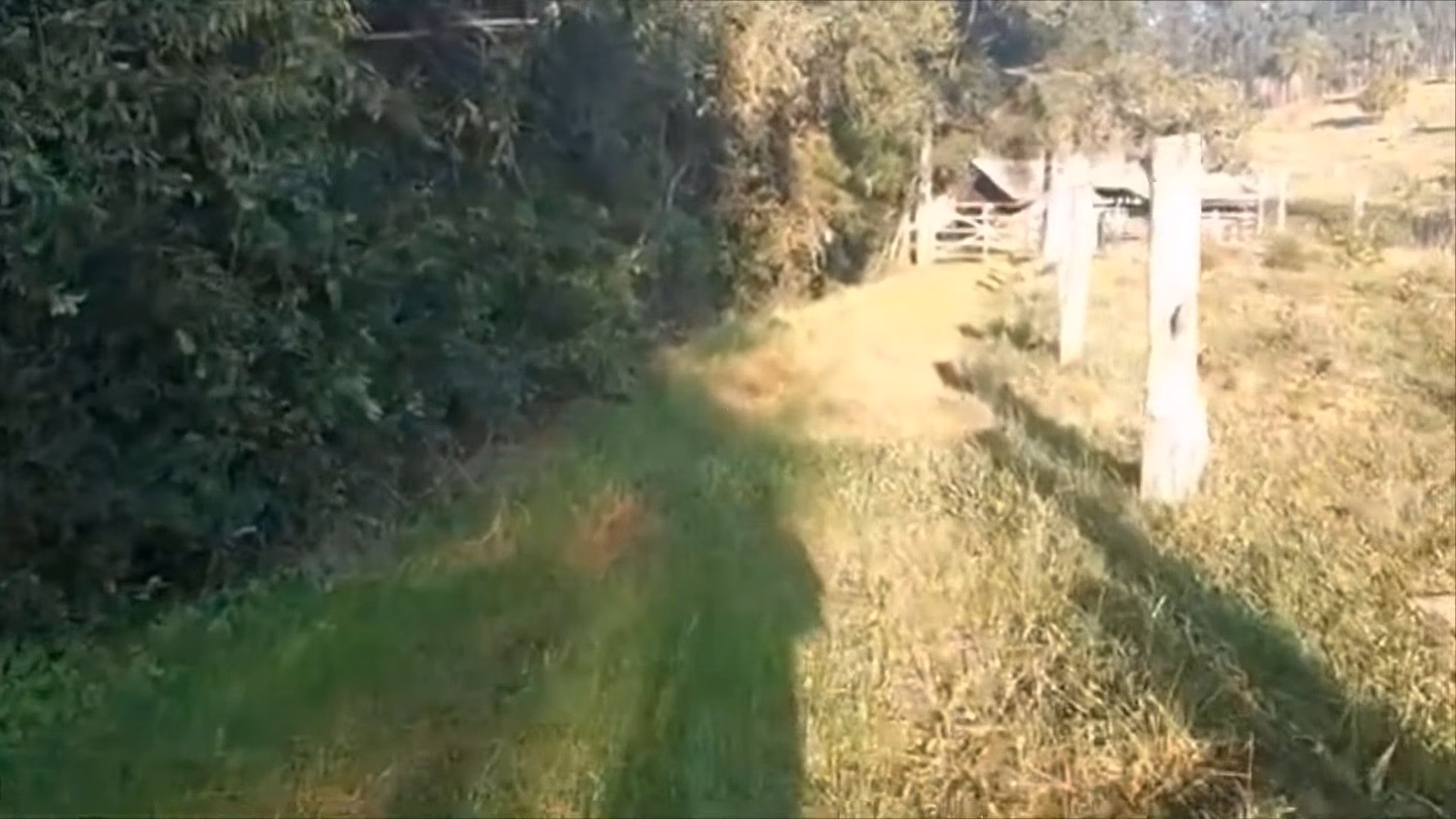 Sítio de 9 ha em Caraá, RS