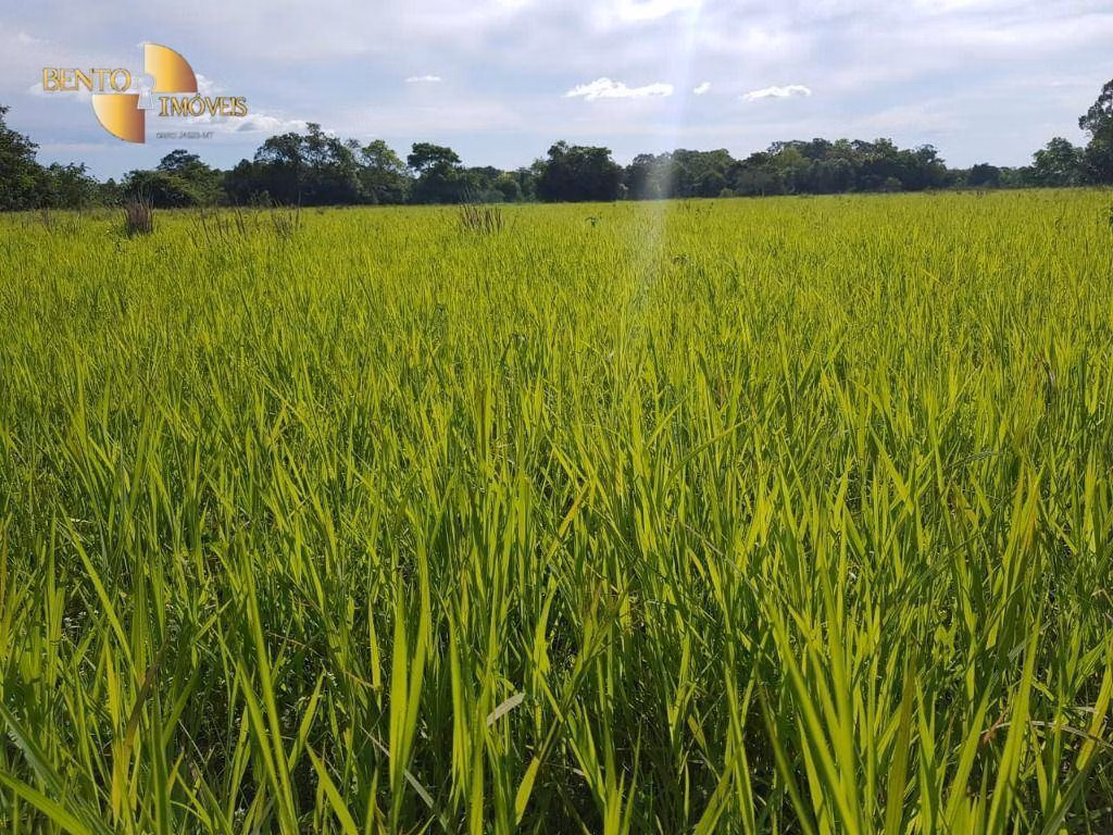 Chácara de 3.800 m² em Cuiabá, MT