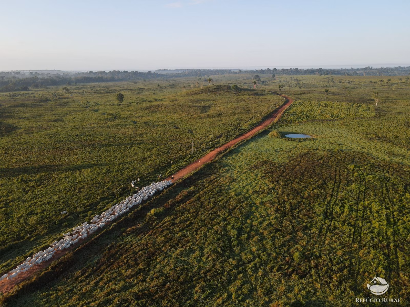 Fazenda de 2.900 ha em Itaituba, PA