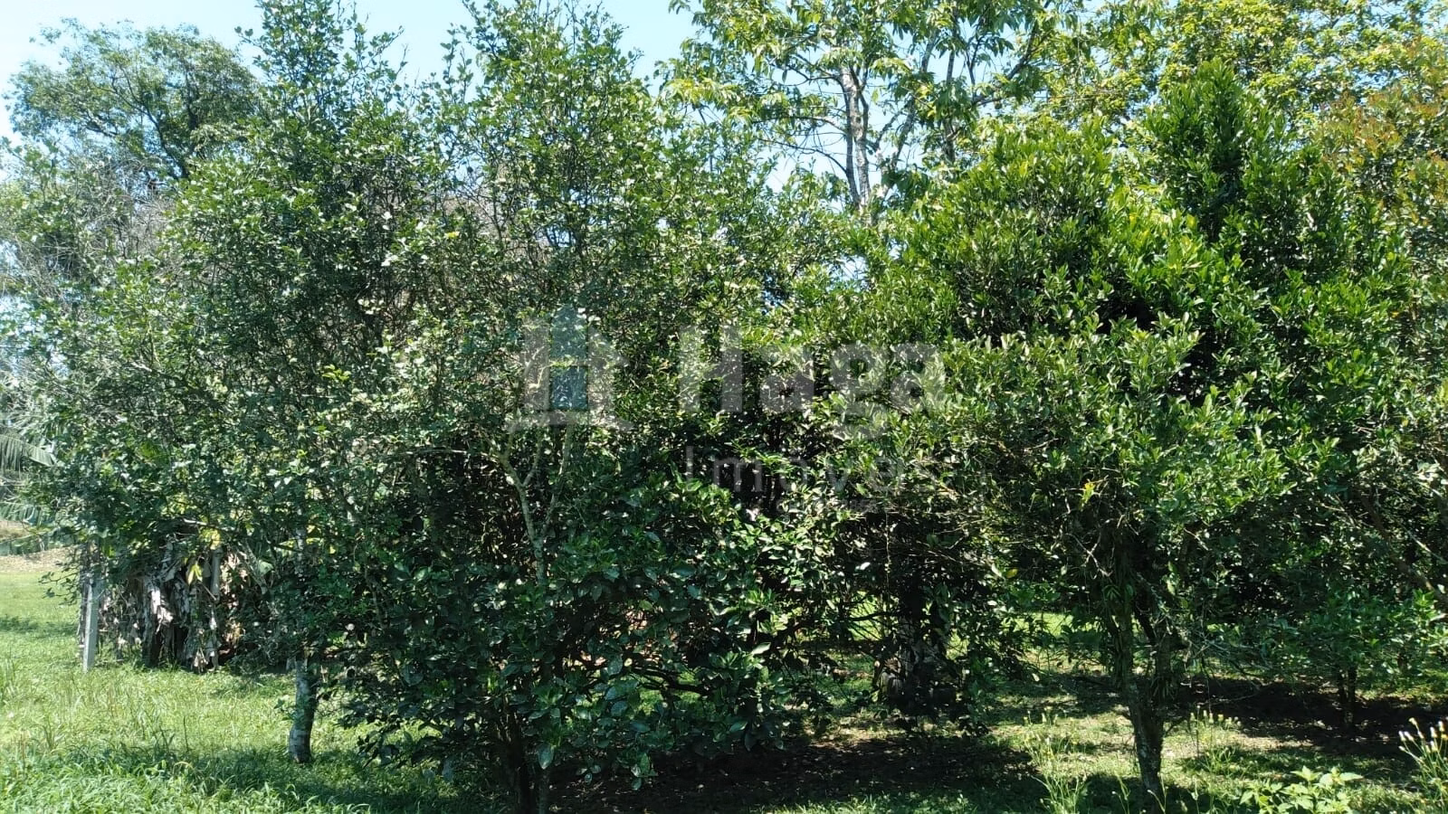 Farm of 2 acres in Gaspar, SC, Brazil