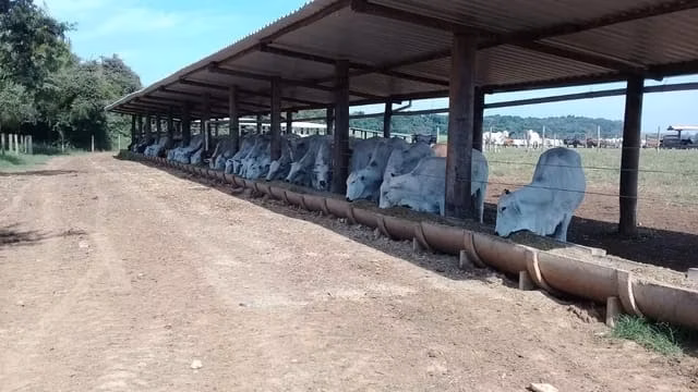 Fazenda de 142 ha em Laranjal Paulista, SP