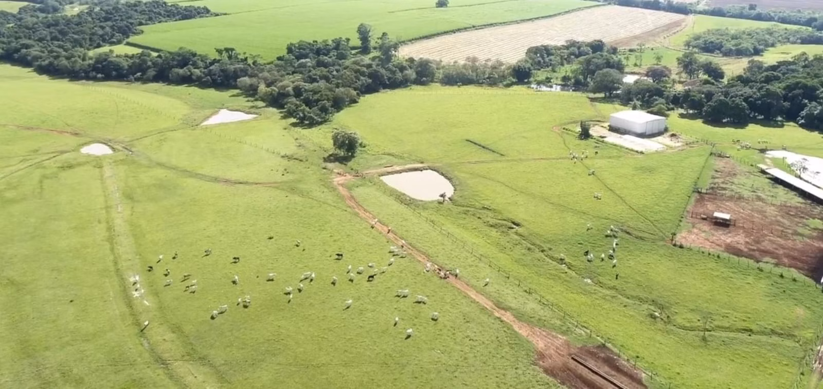 Fazenda de 142 ha em Laranjal Paulista, SP