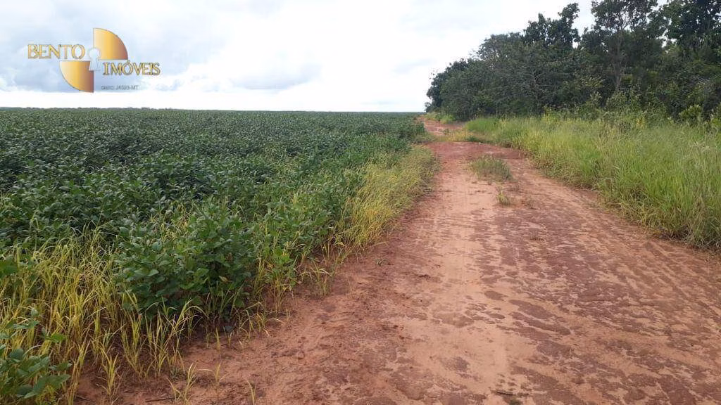 Fazenda de 722 ha em Rondonópolis, MT