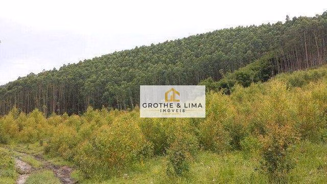 Terreno de 81 ha em Paraibuna, SP