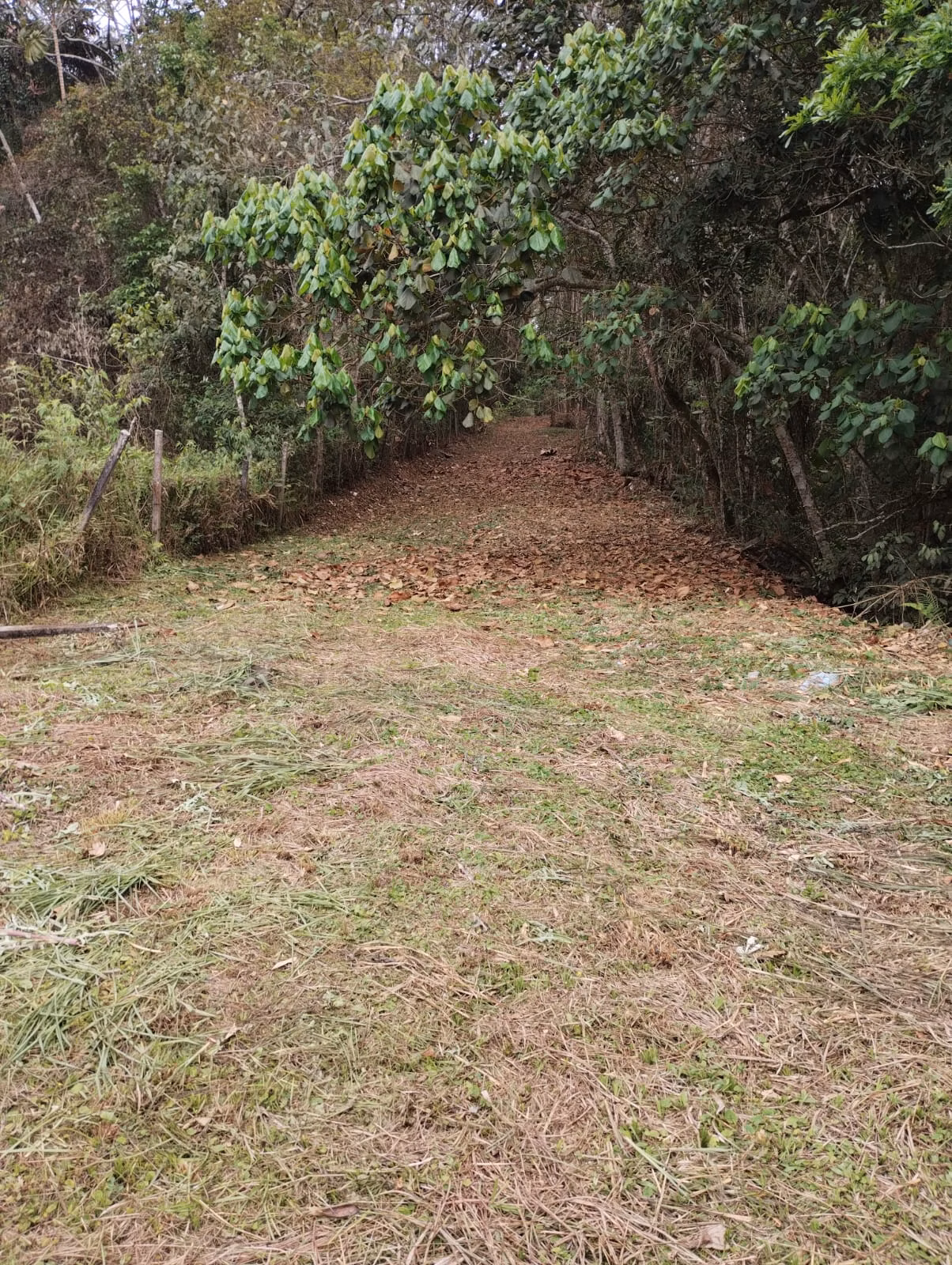 Sítio de 18 ha em Santa Isabel, SP