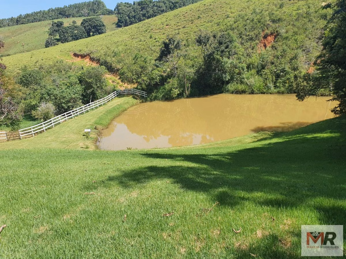Fazenda de 242 ha em Cruzília, MG