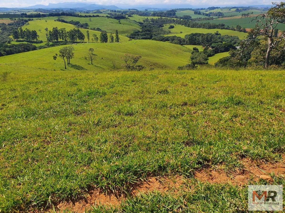 Fazenda de 242 ha em Cruzília, MG