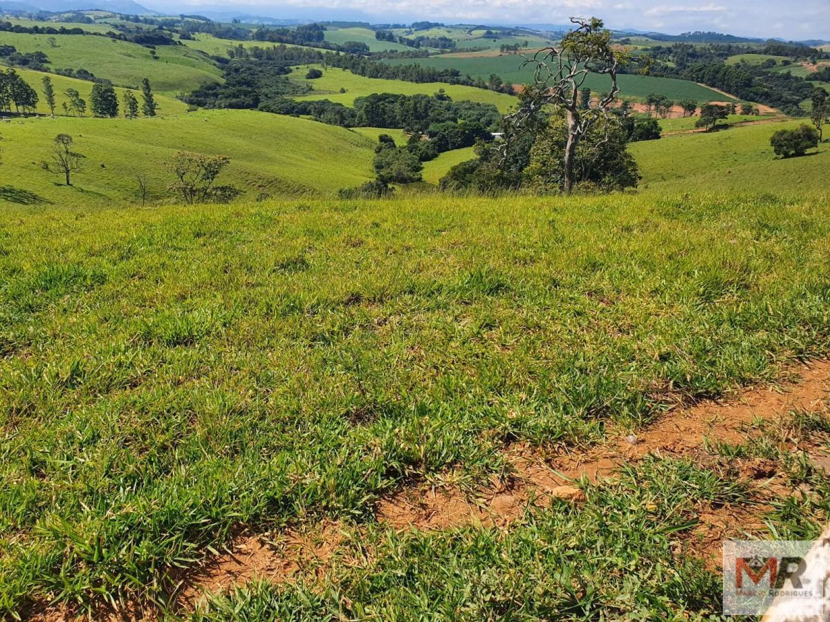 Fazenda de 242 ha em Cruzília, MG
