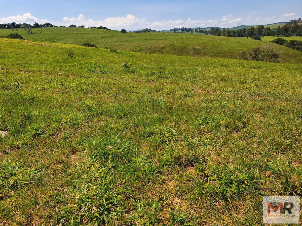 Fazenda de 242 ha em Cruzília, MG