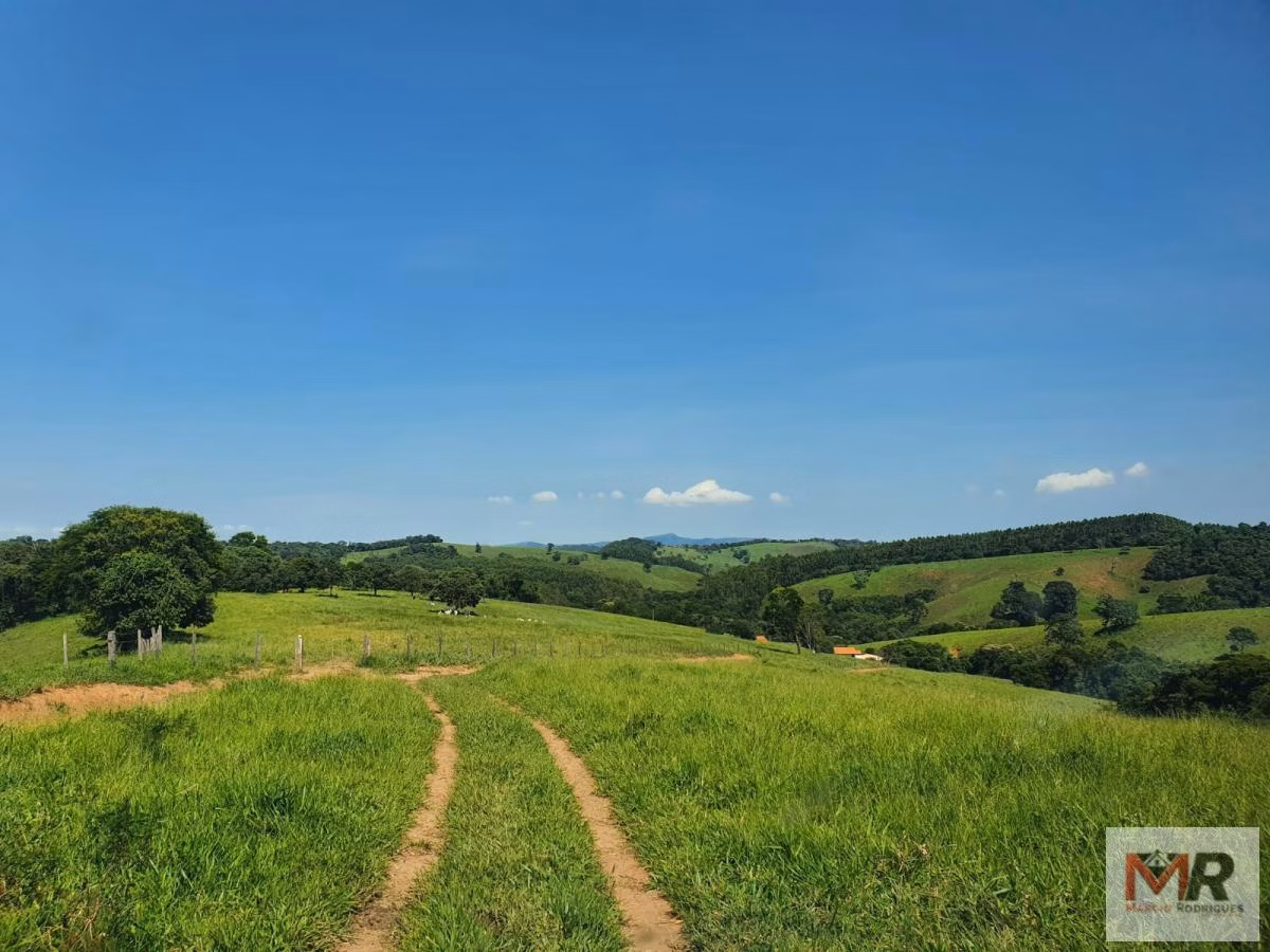 Fazenda de 242 ha em Cruzília, MG