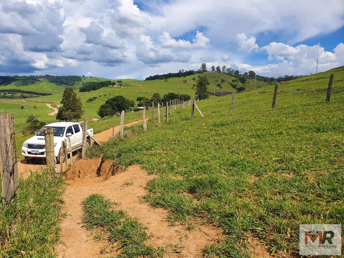 Fazenda de 242 ha em Cruzília, MG