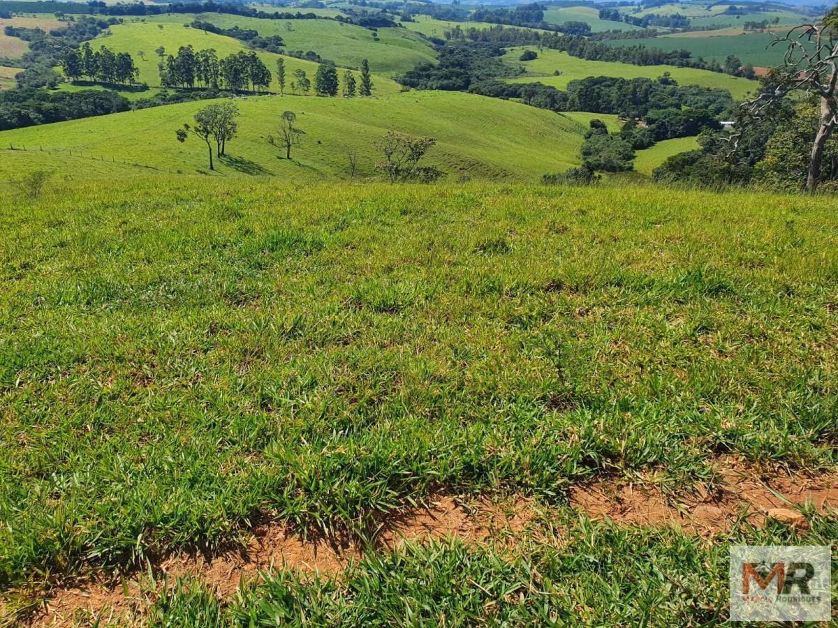 Fazenda de 242 ha em Cruzília, MG