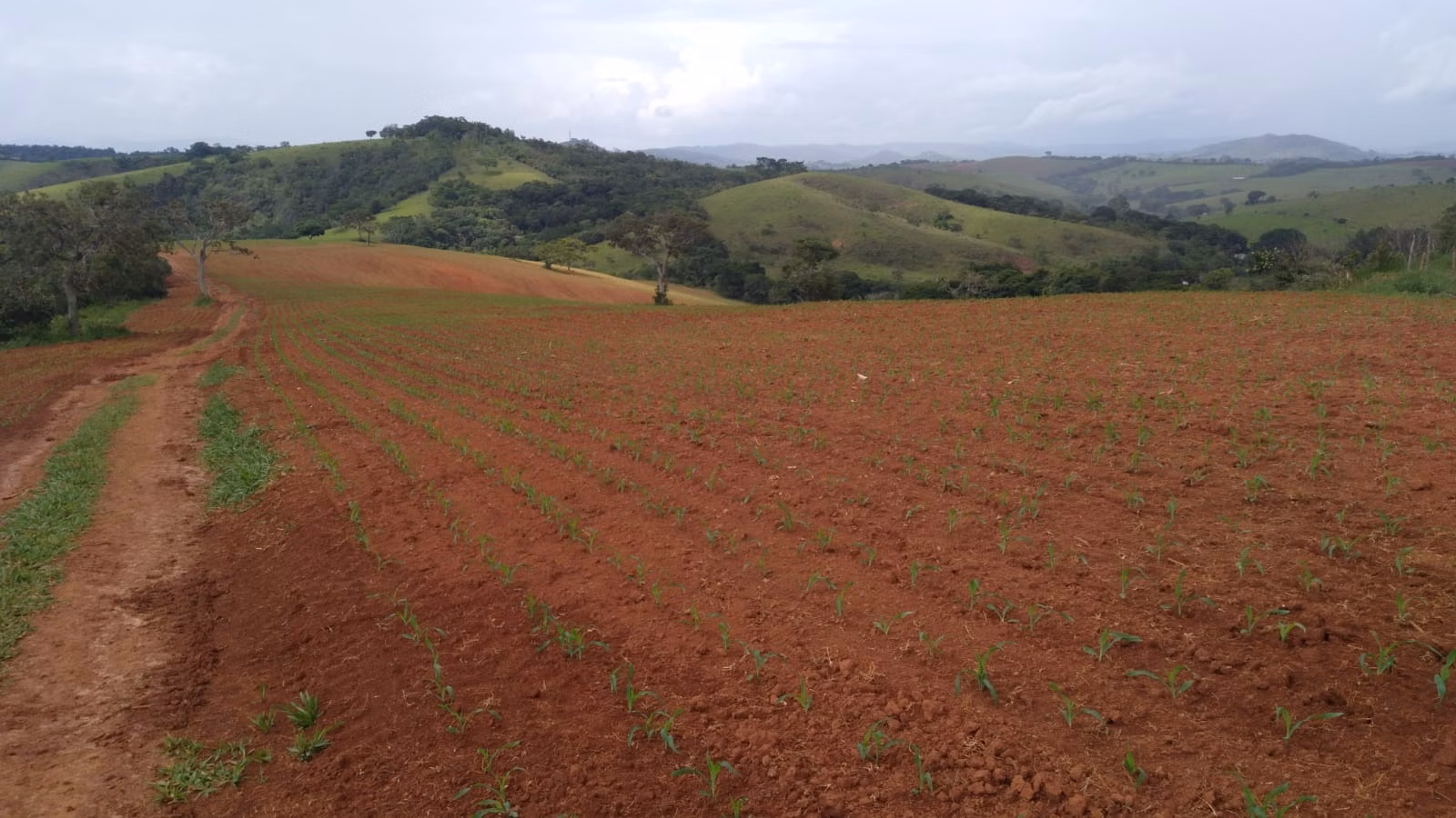 Farm of 509 acres in São Lourenço, MG, Brazil