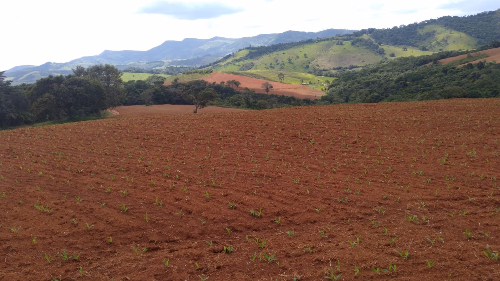 Farm of 509 acres in São Lourenço, MG, Brazil