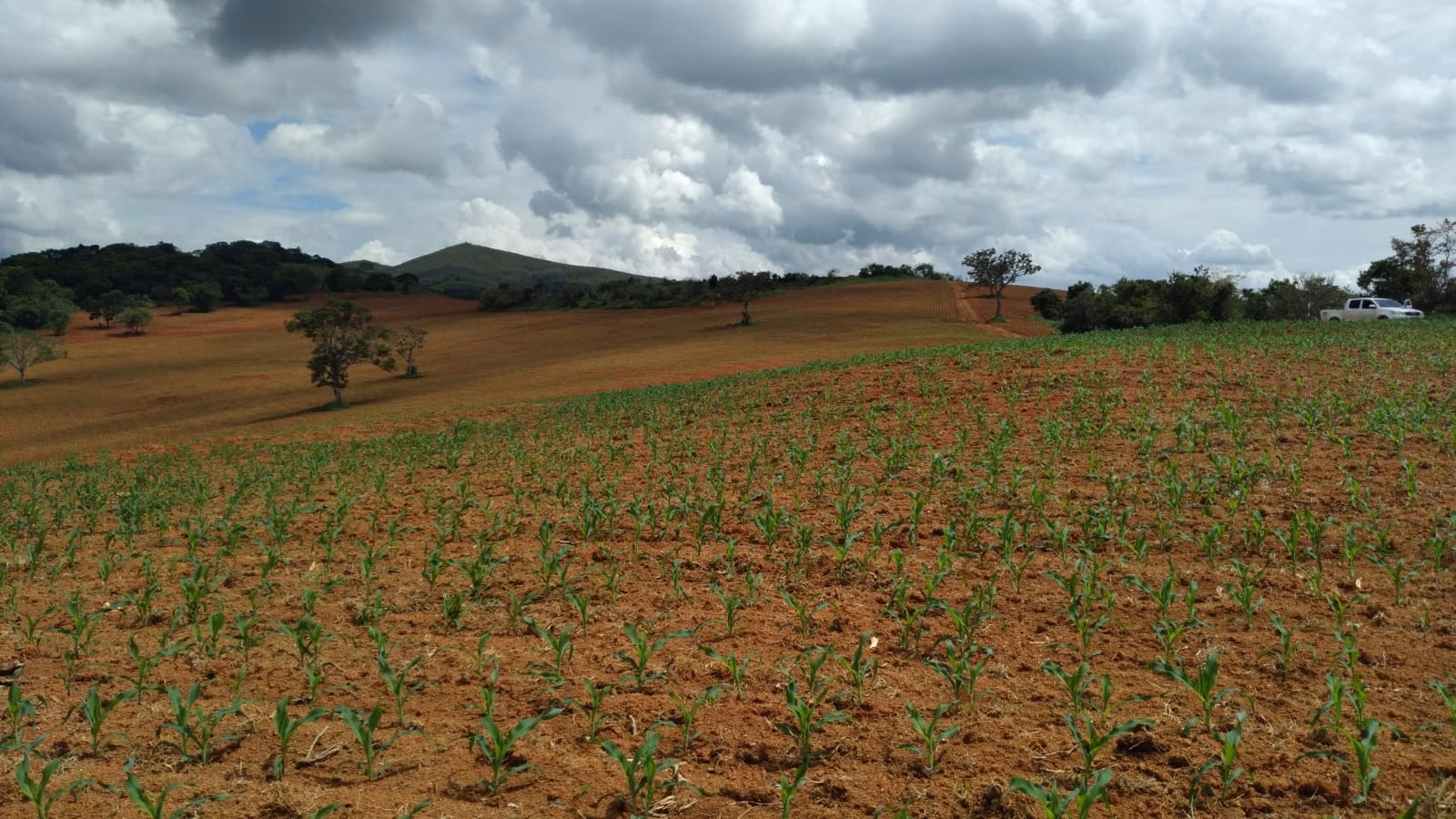 Farm of 509 acres in São Lourenço, MG, Brazil