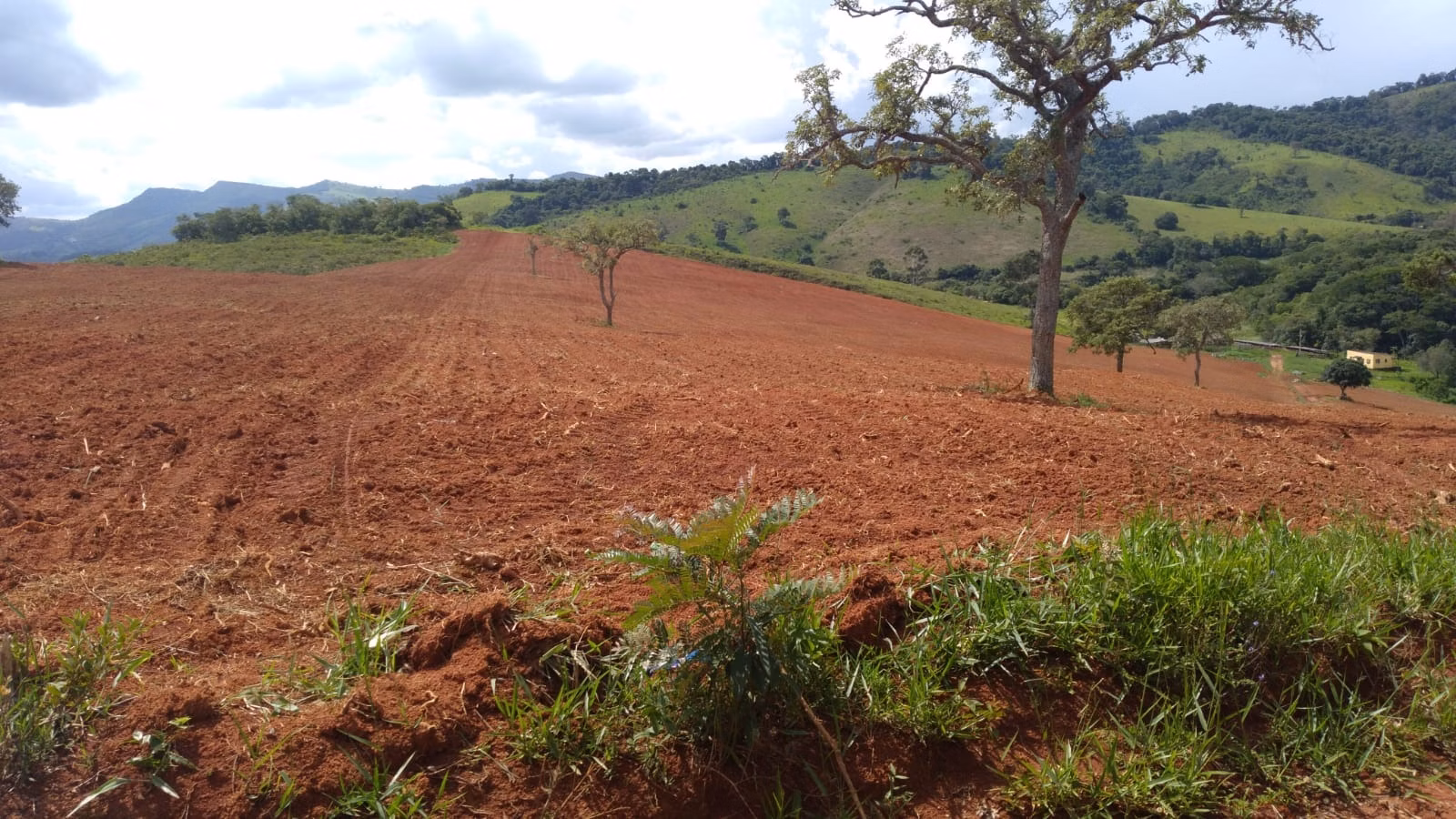 Farm of 509 acres in São Lourenço, MG, Brazil