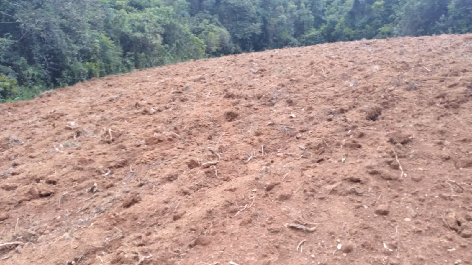 Farm of 509 acres in São Lourenço, MG, Brazil