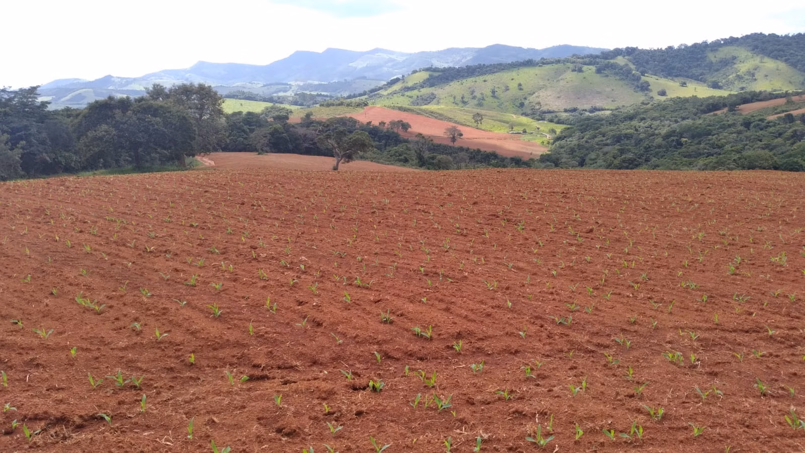Farm of 509 acres in São Lourenço, MG, Brazil